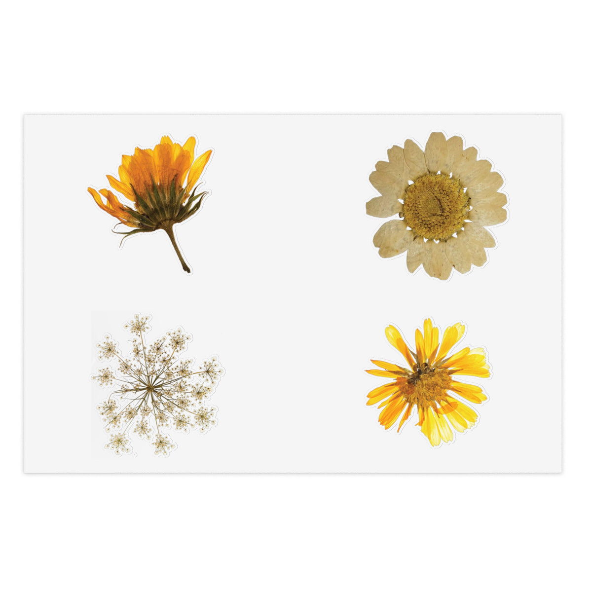 Pressed Yellow Wildflower Sticker Sheet — New Mexico Desert Floral Stickers for Journals & Scrapbooks