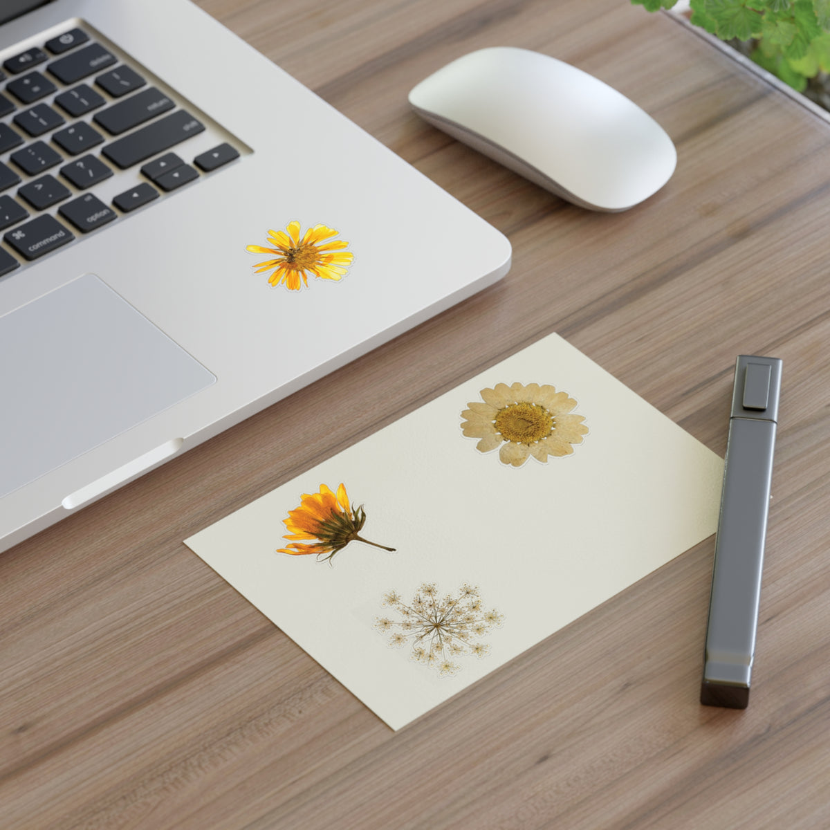 Pressed Yellow Wildflower Sticker Sheet — New Mexico Desert Floral Stickers for Journals & Scrapbooks
