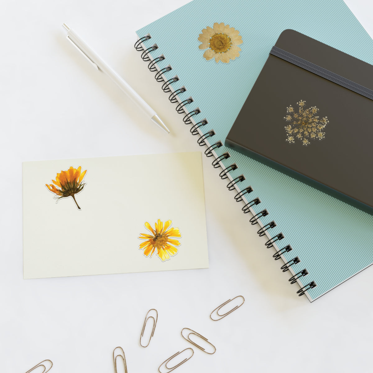 Pressed Yellow Wildflower Sticker Sheet — New Mexico Desert Floral Stickers for Journals & Scrapbooks